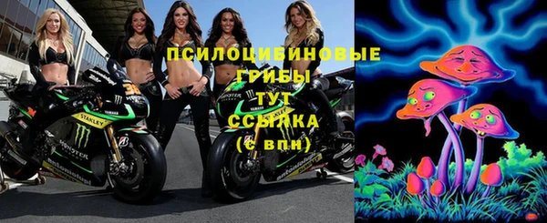 мяу мяу мука Бердск