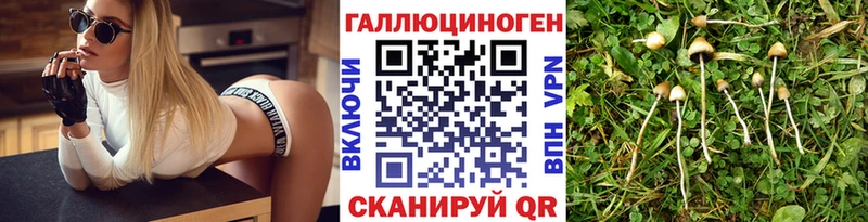 mega ССЫЛКА  Белорецк  Галлюциногенные грибы Cubensis 